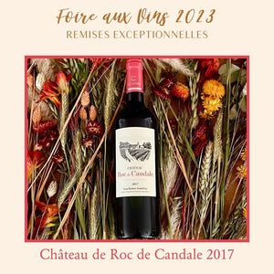 Foire aux Vins - Château Roc de Candale 2017 - Coffret 6 bouteilles